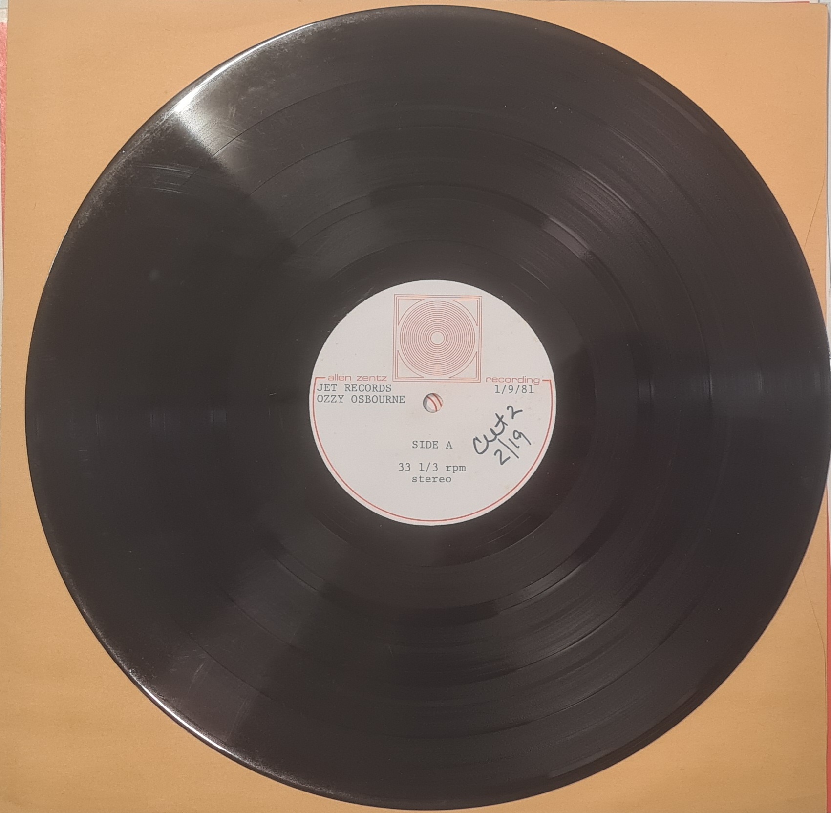 Rock Icons - Vinyl Records