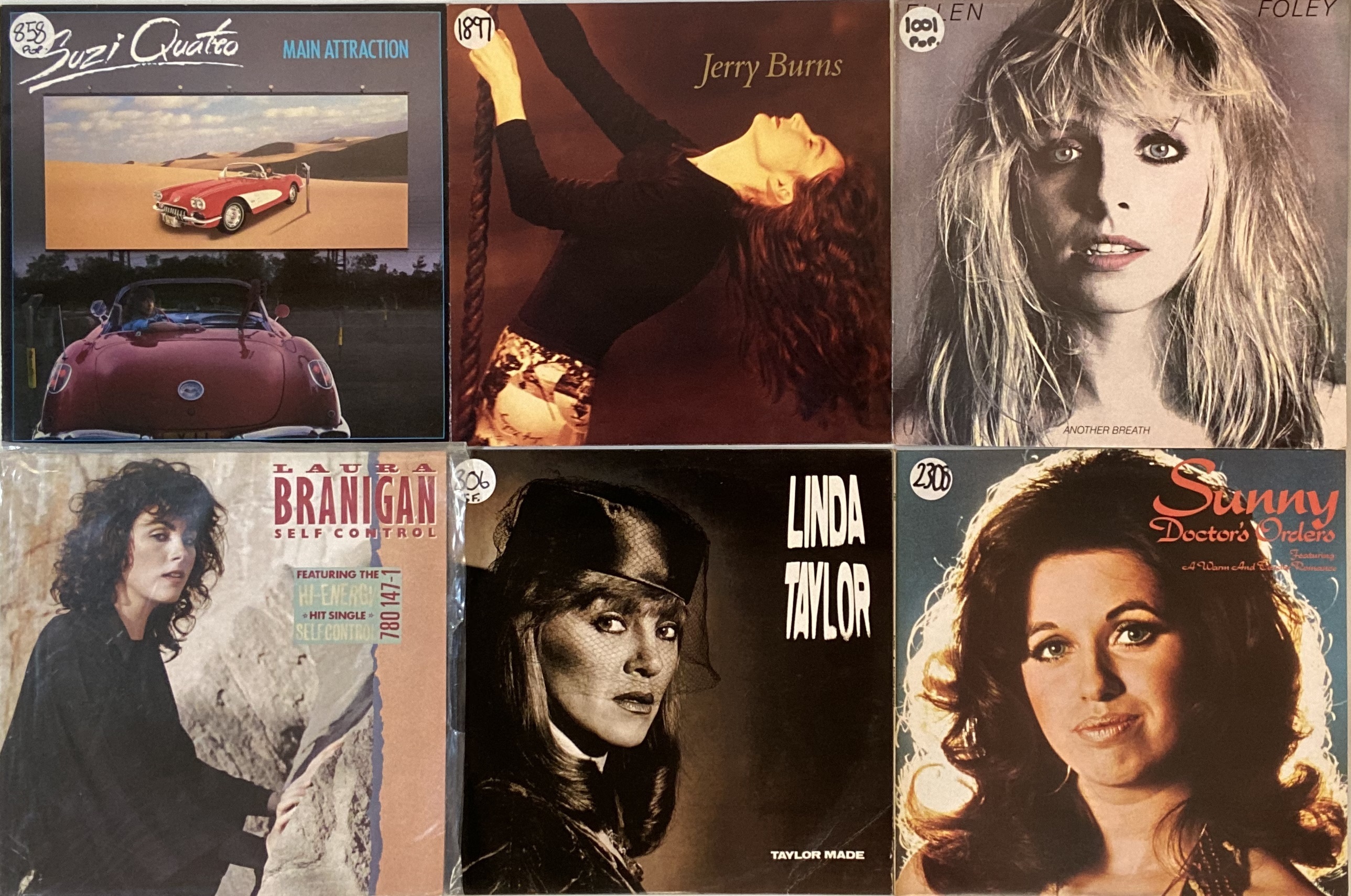 Lot 848 - POP/ ROCK - FEMALE ARTIST LPs