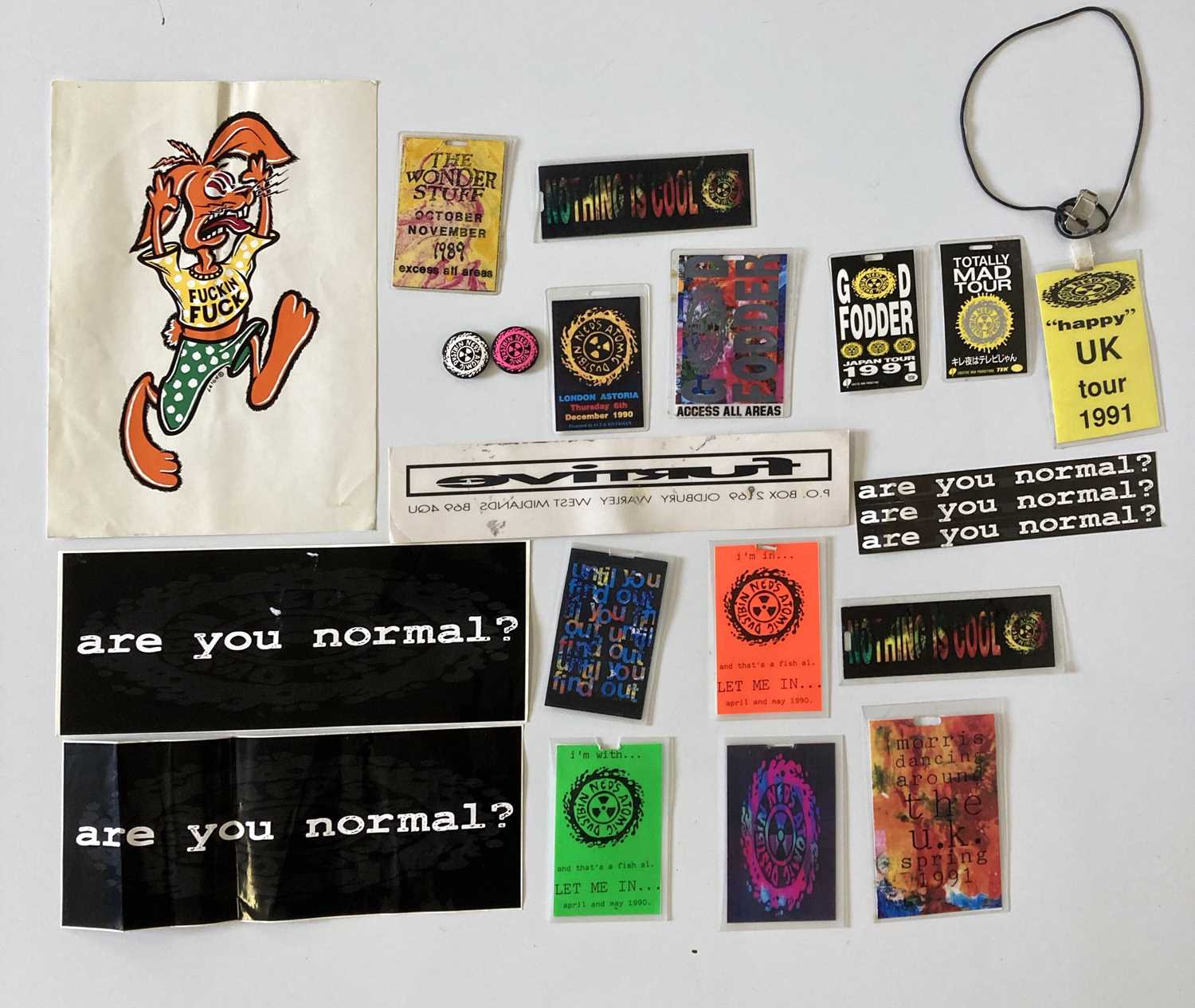 Lot 37 - NED'S ATOMIC DUSTBIN - PASSES 1989 - 1991.