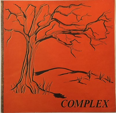 Lot 40 - COMPLEX - COMPLEX LP (ORIGINAL UK SELF-RELEASED PRESSING TD 6869 - SUPERB CONDITION)