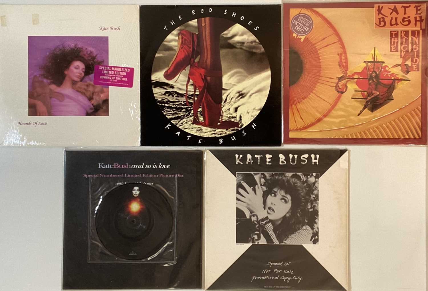 Bush Lp Lot 190 - KATE BUSH - LP/ 12