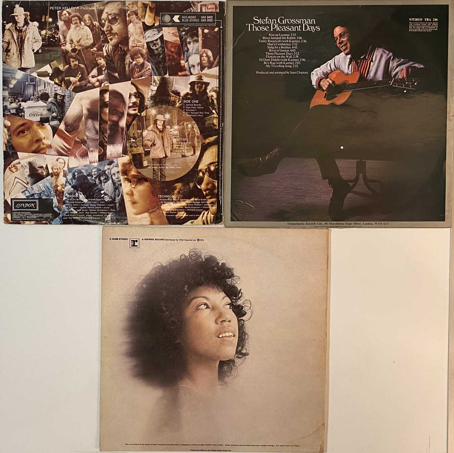 Lot 699 - FOLK/SINGER-SONGWRITER - LP RARITIES