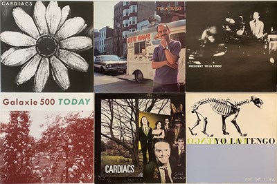 Lot 780 - INDIE/ ALT/ PUNK ROCK - LPs