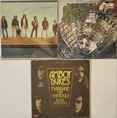 Lot 138 - THE AMBOY DUKES - LP COLLECTION