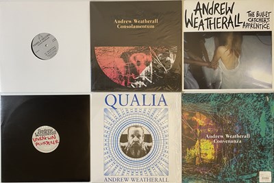 Lot 303 - ANDREW WEATHERALL & RELATED LPs/ 12"