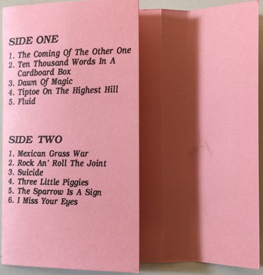 Lot 1172 - TWINK - SIGNED CASSETTES