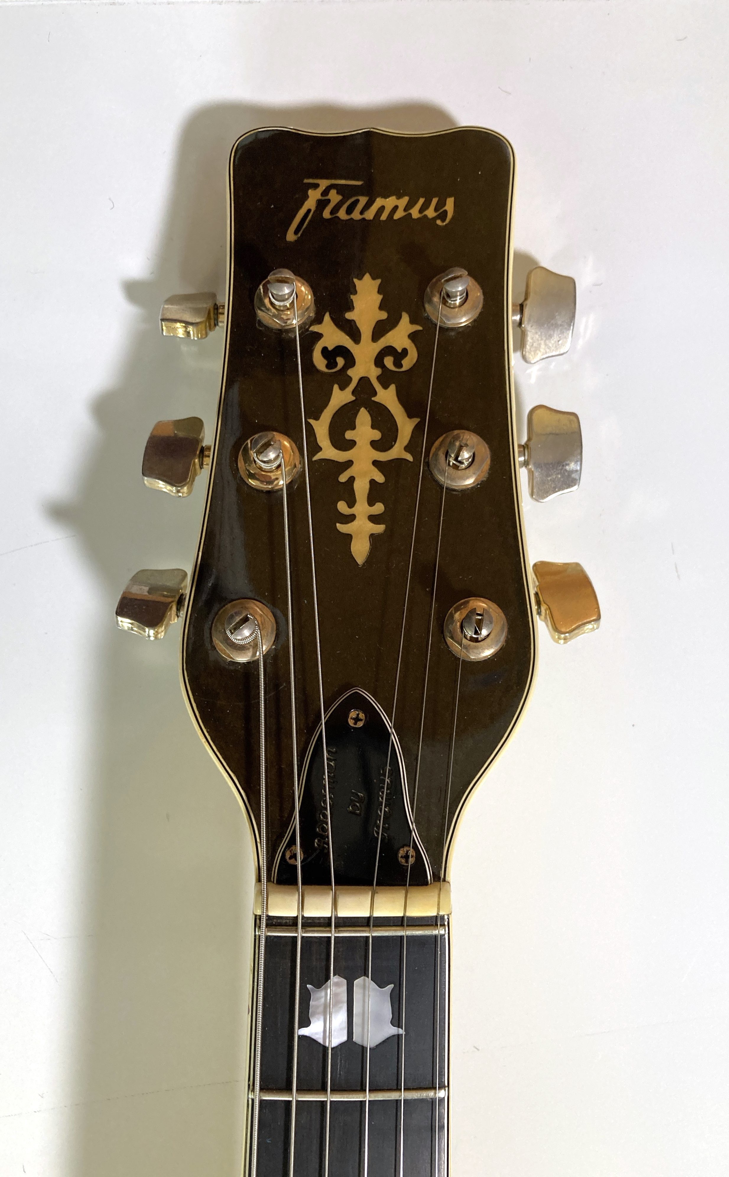 ギター Catalyst Jakkerman Jan Akkerman model Catalyst Jakkerman Jan Akkerman model / Electric Guitar w
