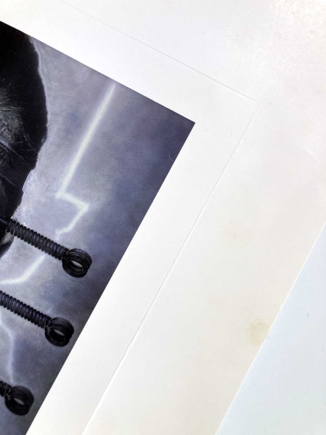 Lot 213 DEBBIE HARRY / BLONDIE / HR GIGER SIGNED