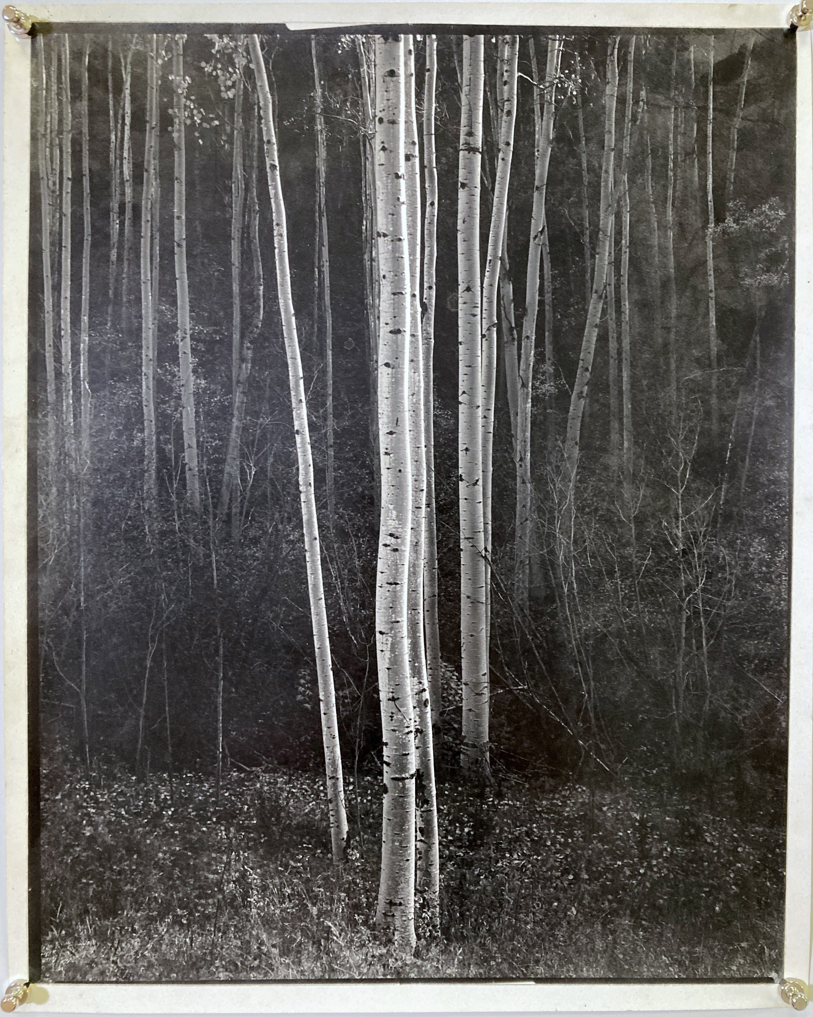 Lot 67 - ANSEL ADAMS (1902-1884).