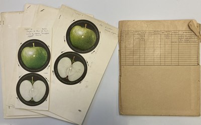 Lot 161 - THE BEATLES / APPLE RECORDS 1971 PROOF APPLE LABEL DESIGNS