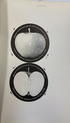 Lot 161 - THE BEATLES / APPLE RECORDS 1971 PROOF APPLE LABEL DESIGNS