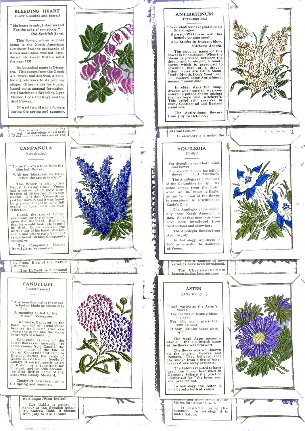 Lot 32 KENSITAS SILK FLOWERS 1ST SERIES.