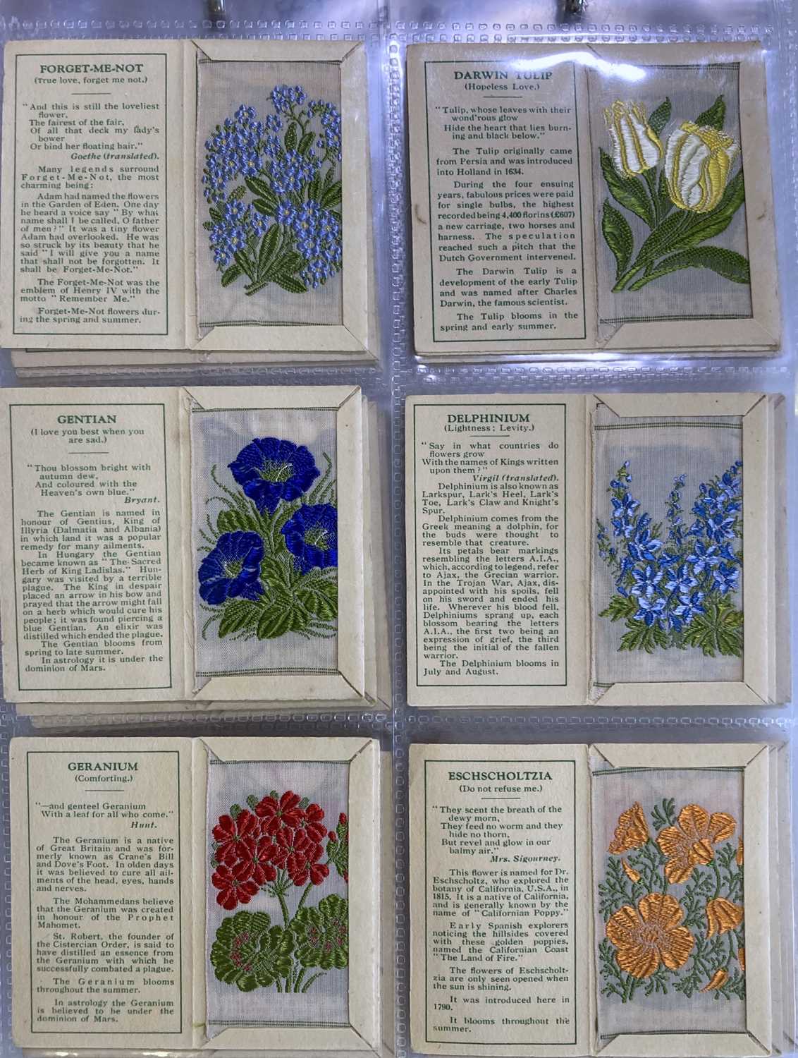 Lot 32 KENSITAS SILK FLOWERS 1ST SERIES.