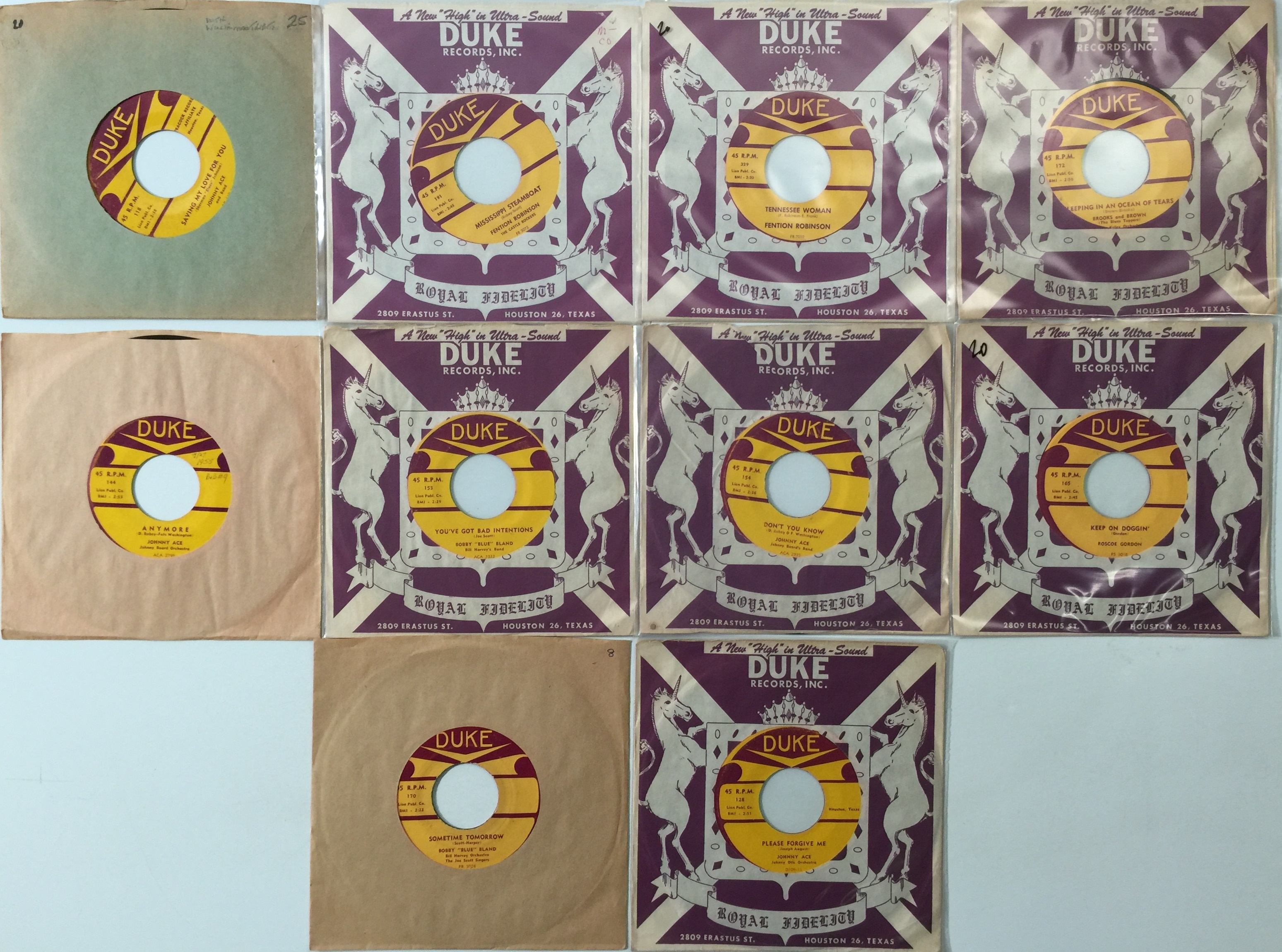 Lot 44 - DUKE - 7