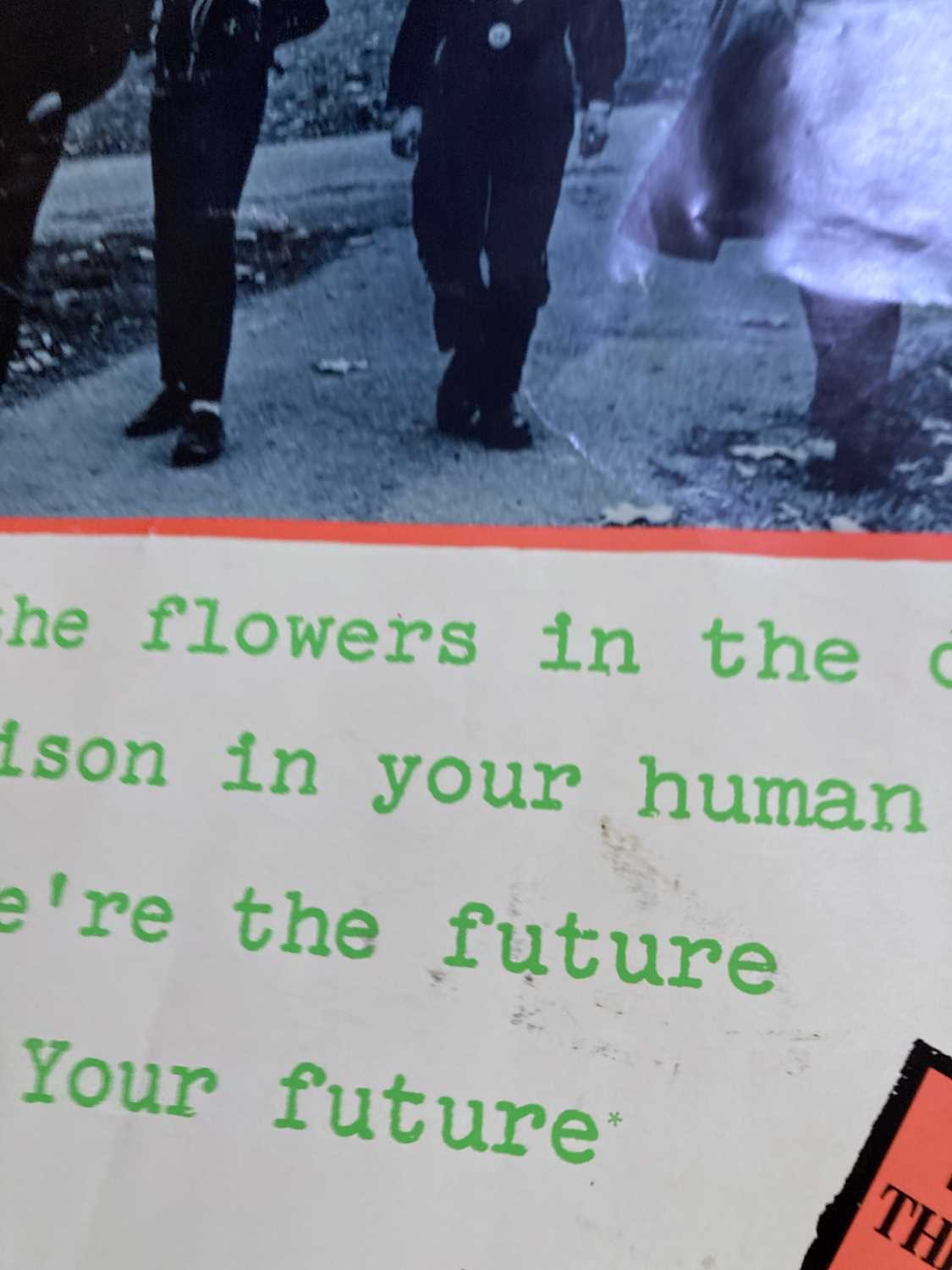 Lot 475 THE SEX PISTOLS FLOWERS IN THE DUSTBIN