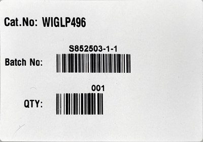 Lot 174 - WET LEG - WET LEG LP - SIGNED (2022 - DOMINO WIGLP496)