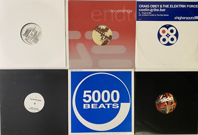 Lot 13 - HOUSE - 12" COLLECTION
