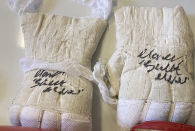 Lot 183 - SIGNED BOXING GLOVES