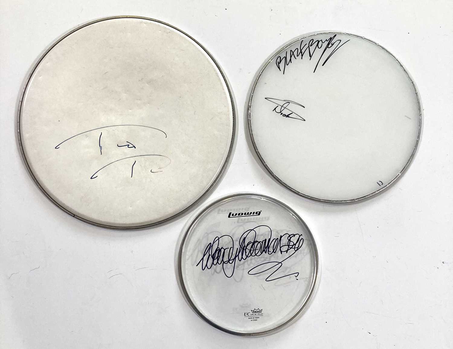 Lot 270 - LEGENDARY DRUMMERS - SIGNED DRUM SKINS 