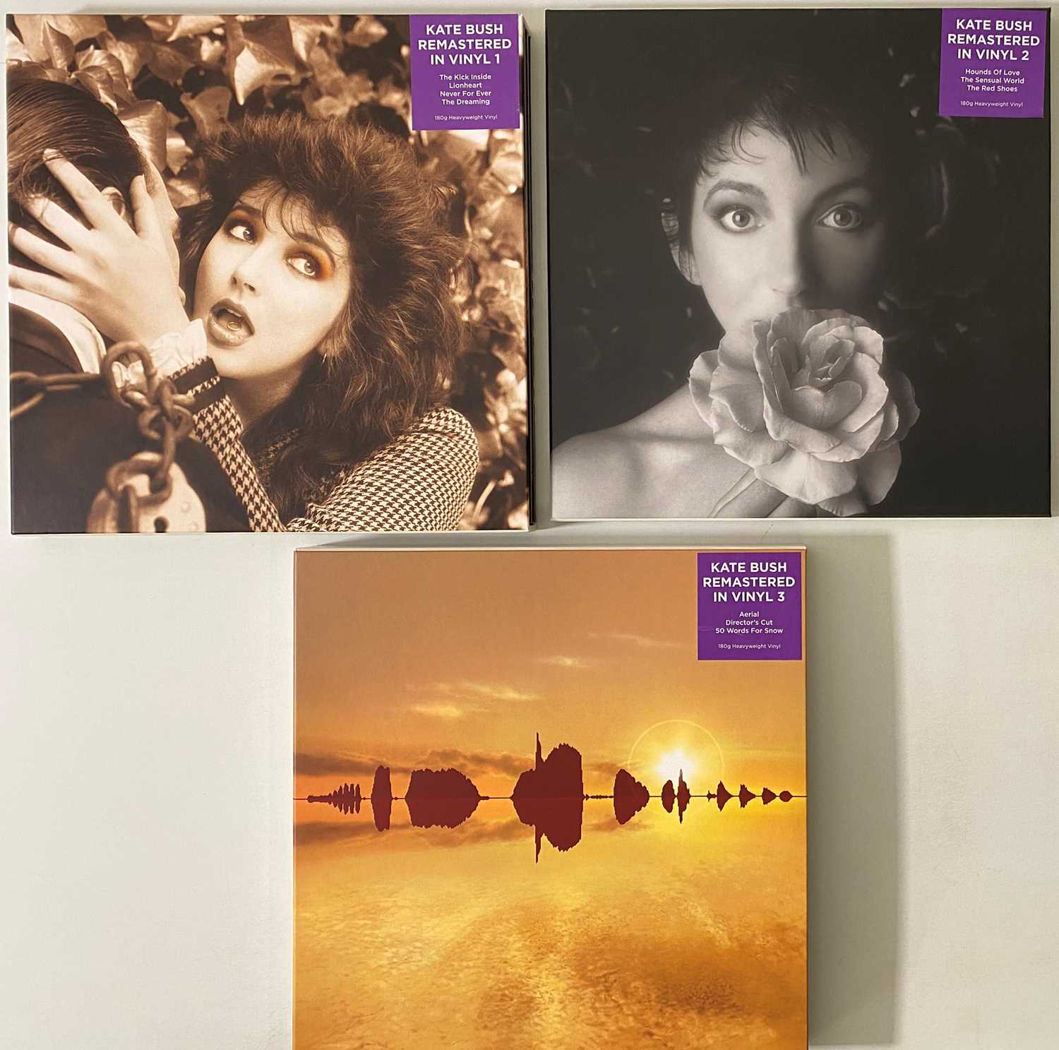 Bush Lp Lot 722 - KATE BUSH - LP BOX SETS