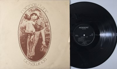 Lot 941 - TICKAWINDA - ROSEMARY LANE LP (ORIGINAL UK COPY -PENNINE RECORDS PSS 153 LP)