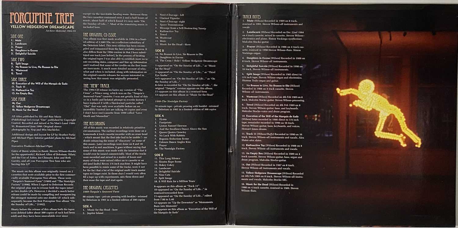 Lot 1040 PORCUPINE TREE YELLOW HEDGEROW DREAMSCAPE