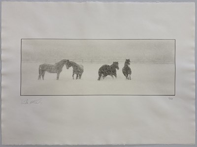 Lot 216 - LINDA MCCARTNEY - LIMITED EDITION PRINT WITH CERTIFICATE SIGNED BY PAUL MCCARTNEY - HORSES IN SNOW.