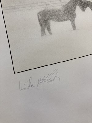 Lot 216 - LINDA MCCARTNEY - LIMITED EDITION PRINT WITH CERTIFICATE SIGNED BY PAUL MCCARTNEY - HORSES IN SNOW.