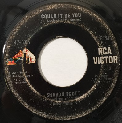 Lot 164 - SHARON SCOTT - COULD IT BE YOU 7" (US NORTHERN - RCA 47-8907)