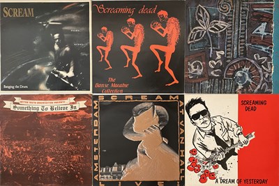 Lot 157 - PUNK / HARDCORE / GOTH - LP COLLECTION
