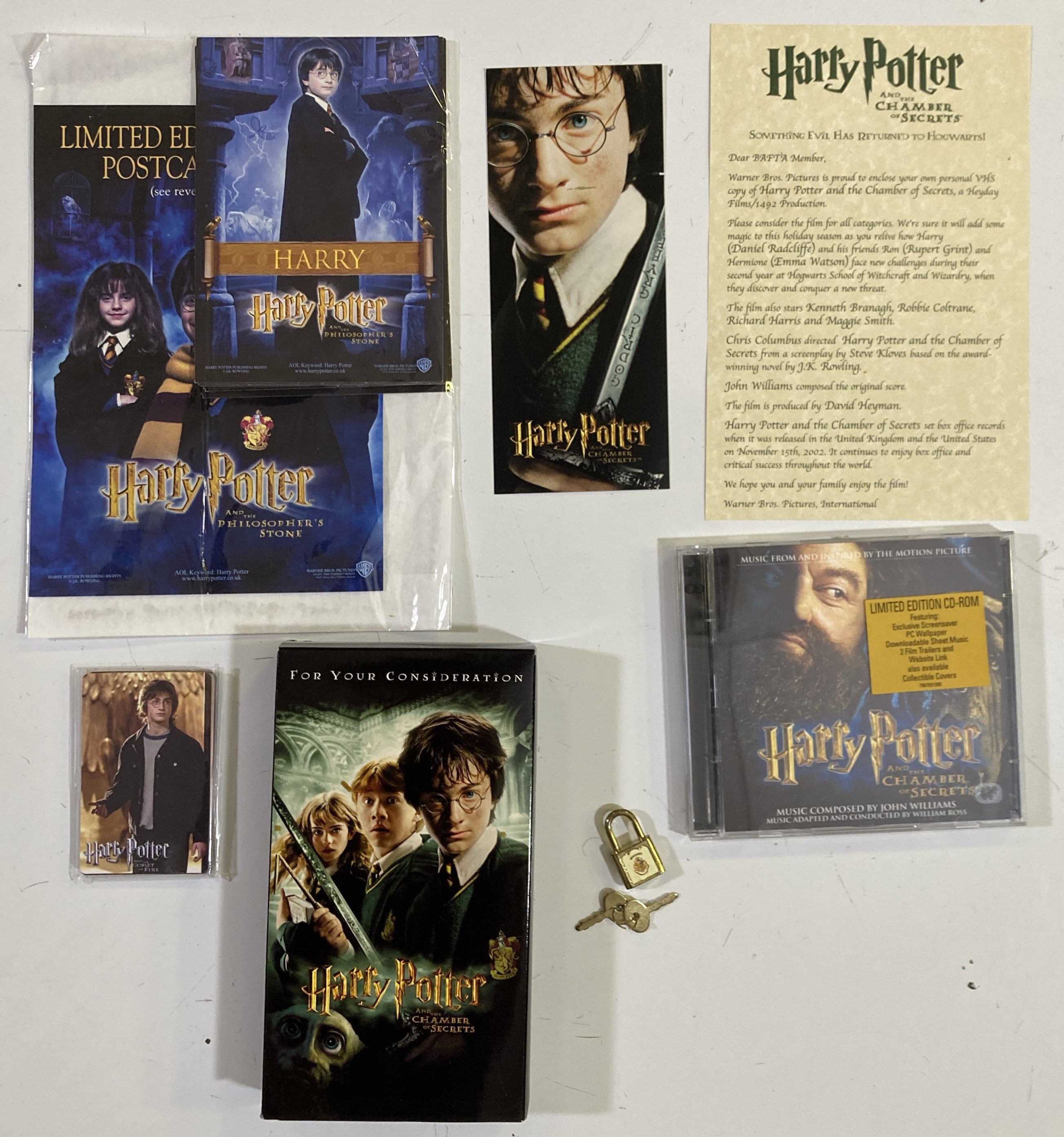 Lot 231 - HARRY POTTER - CHAMBER OF SECRETS KIT ISSUED