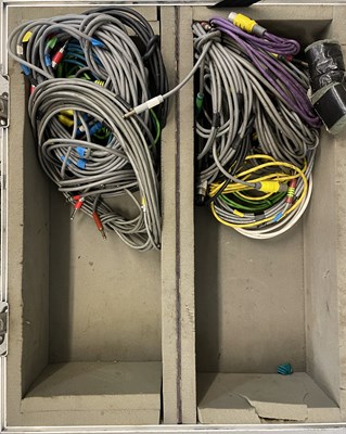 Lot 19 - STRAWBERRY STUDIOS - STRAWBERRY RENTALS COLLECTION - MULTI CORE / CABLING / SPARES.