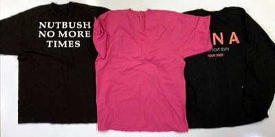 Lot 136 - TOUR AND CONCERT CLOTHING AND EPHEMERA - FEMALE STARS INC TINA TURNER.