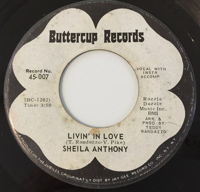 Lot 203 - SHEILA ANTHONY - LIVIN' IN LOVE 7" (PROMO - BUTTERCUP RECORDS - 45-007)