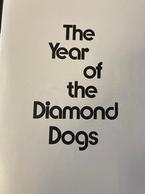 Lot 248 - DAVID BOWIE US DIAMOND DOGS PROGRAMMES