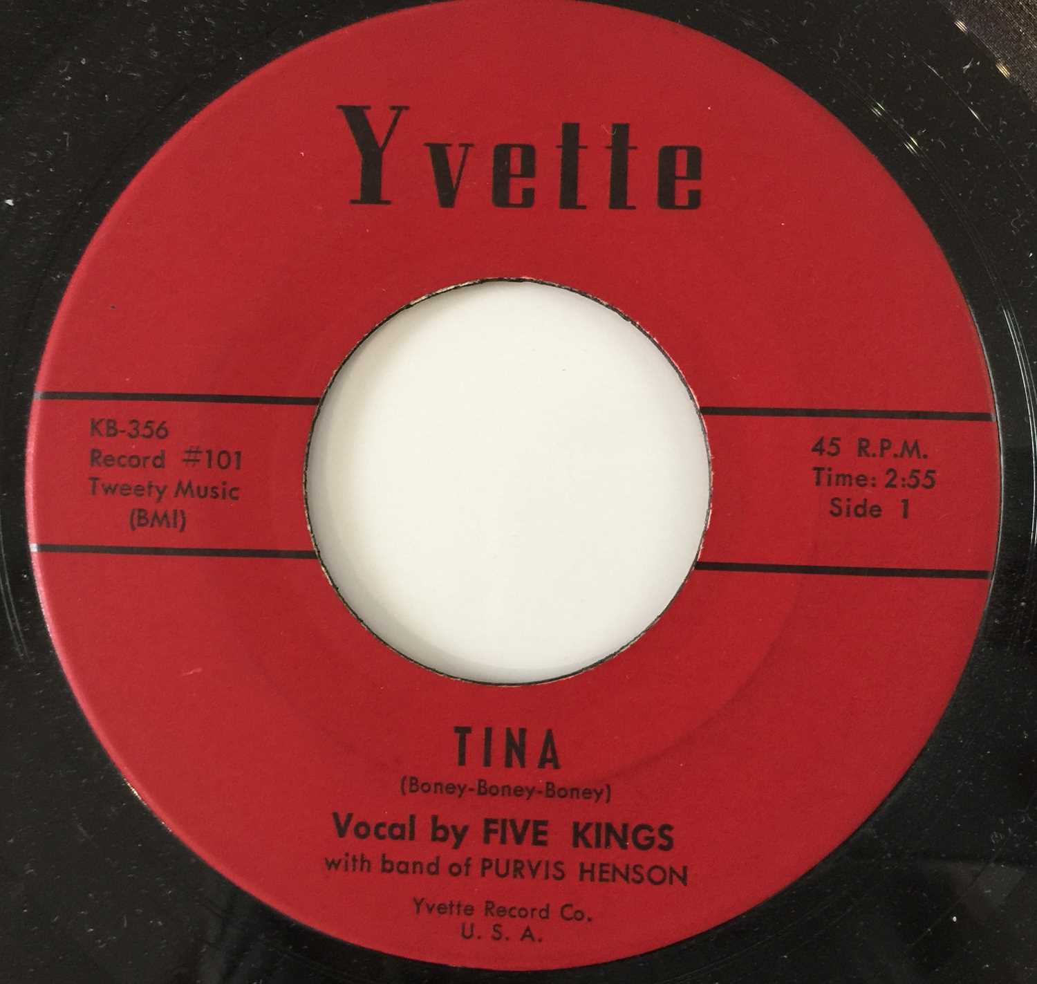 Lot 147 - FIVE KINGS - TINA (YVETTE - KB-356)