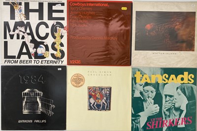 Lot 858 - PUNK/ WAVE/ INDIE/ POP/ GOTH/ ALT - LP COLLECTION