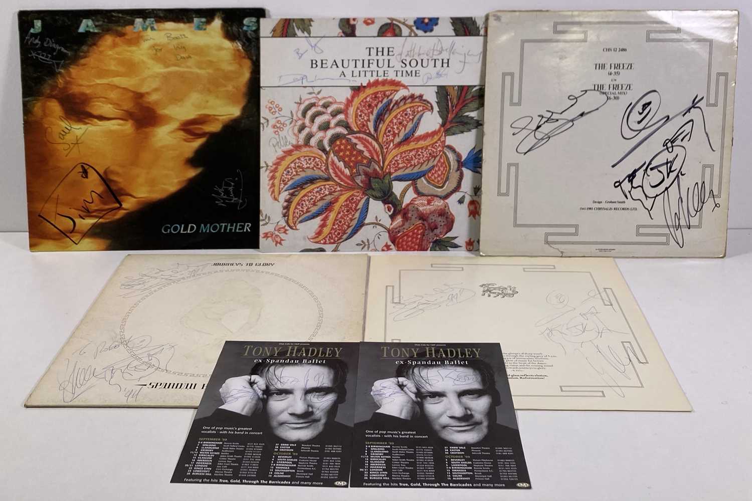 Lot 293 - INDIE / POP - SIGNED RECORDS INC JAMES / BEAUTIFUL SOUTH.