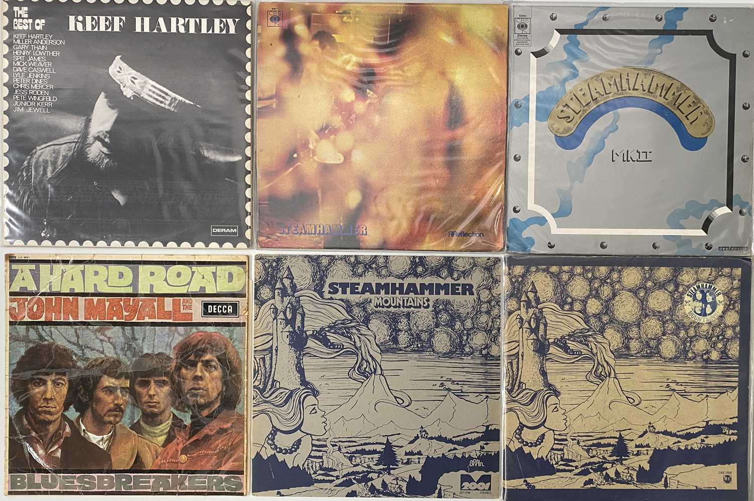 Lot 1008 - BLUES/ BLUES ROCK - LP COLLECTION