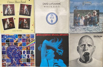 Lot 1008 - BLUES/ BLUES ROCK - LP COLLECTION