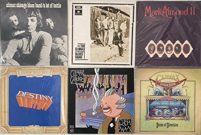 Lot 1010 - BLUES/ BLUES ROCK - LP COLLECTION