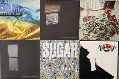 Lot 57 - INDIE/ ALT - LP PACK