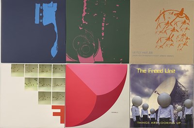 Lot 172 - INDIE/ ALT - LP/ 12" COLLECTION (F & F ARTISTS)