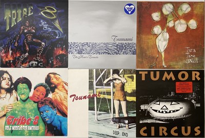 Lot 186 - INDIE/ ALT - LP/ 12" COLLECTION (T ARTISTS)