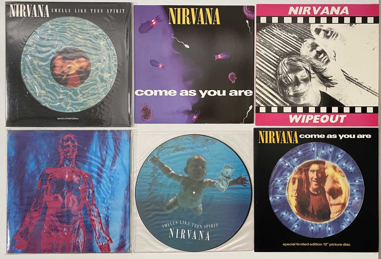 Lot 316 - NIRVANA - 12" / PICTURE DISK PACK