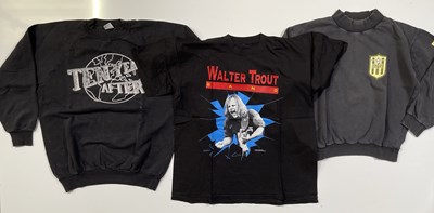 Lot 345 - TEN ASSORTED TOUR T-SHIRTS