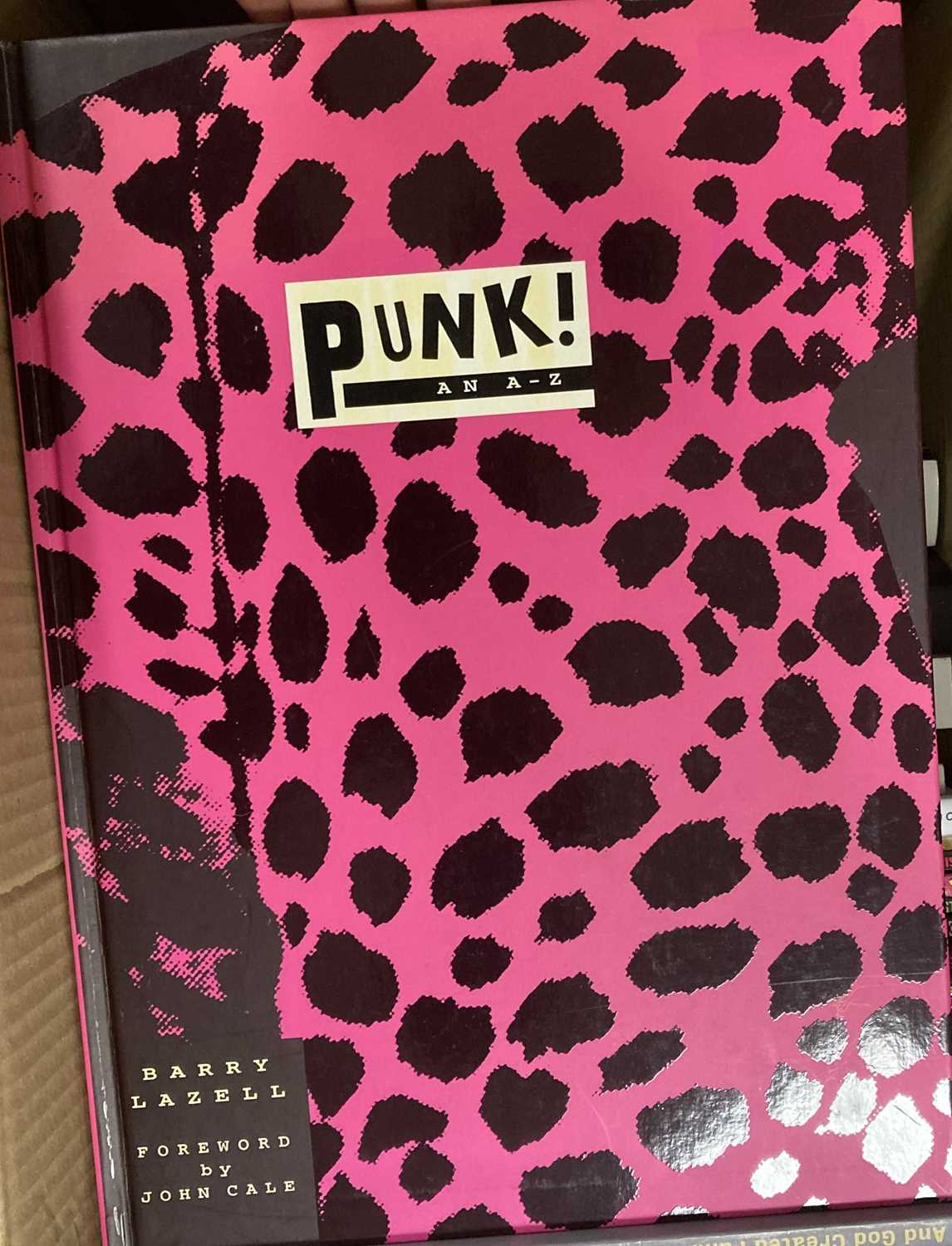 Lot 308 - PUNK BOOK COLLECTION