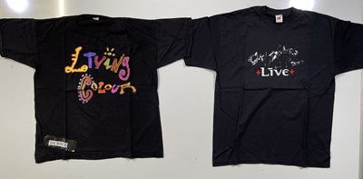Lot 381 - TEN 80S/00S MUSIC TOUR T-SHIRTS (DAVE MATTHEWS BAND, THE MISSION, THE LUMINEERS).