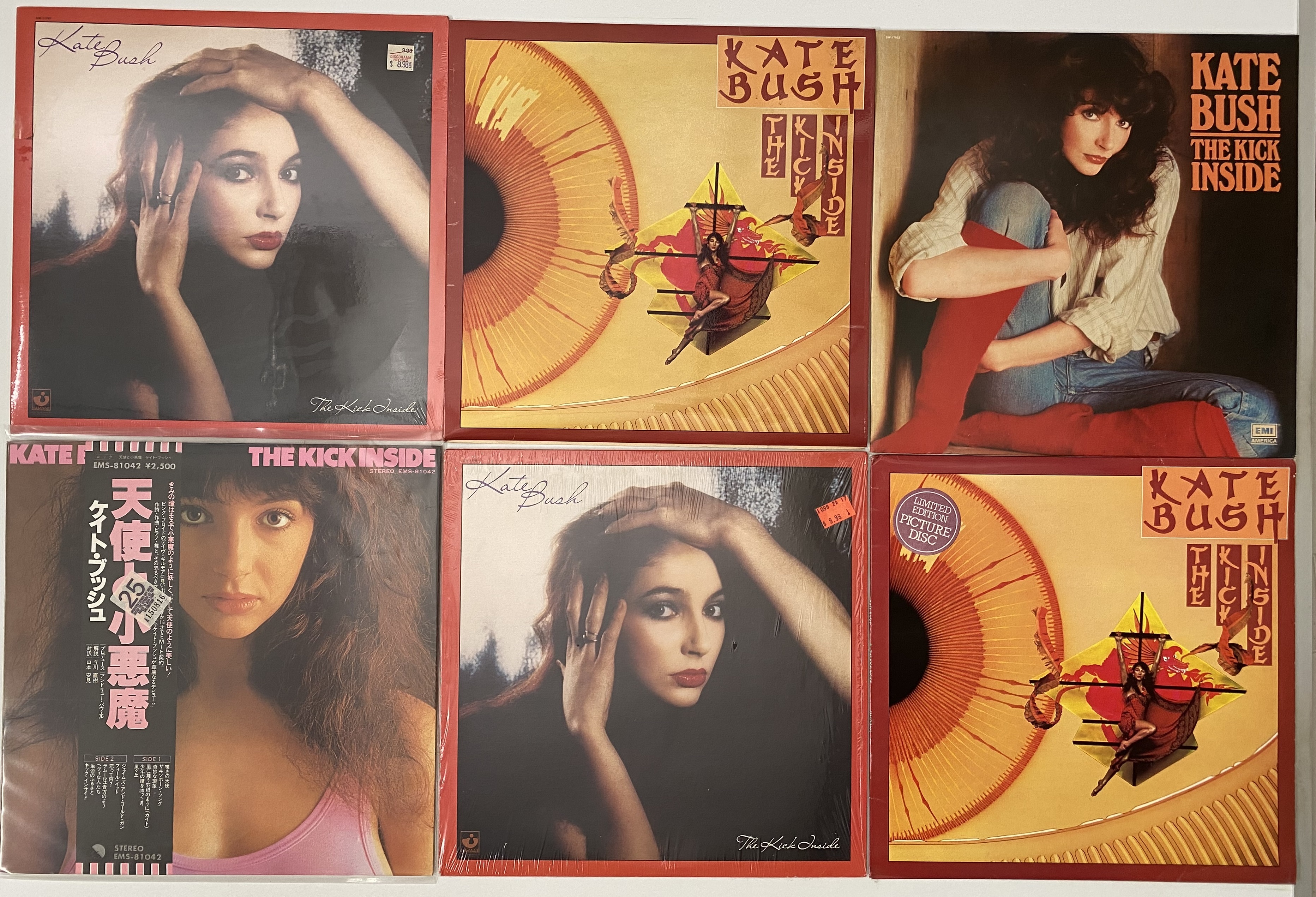 Bush Lp Lot 1062 - KATE BUSH - LP COLLECTION (INC RARITIES/