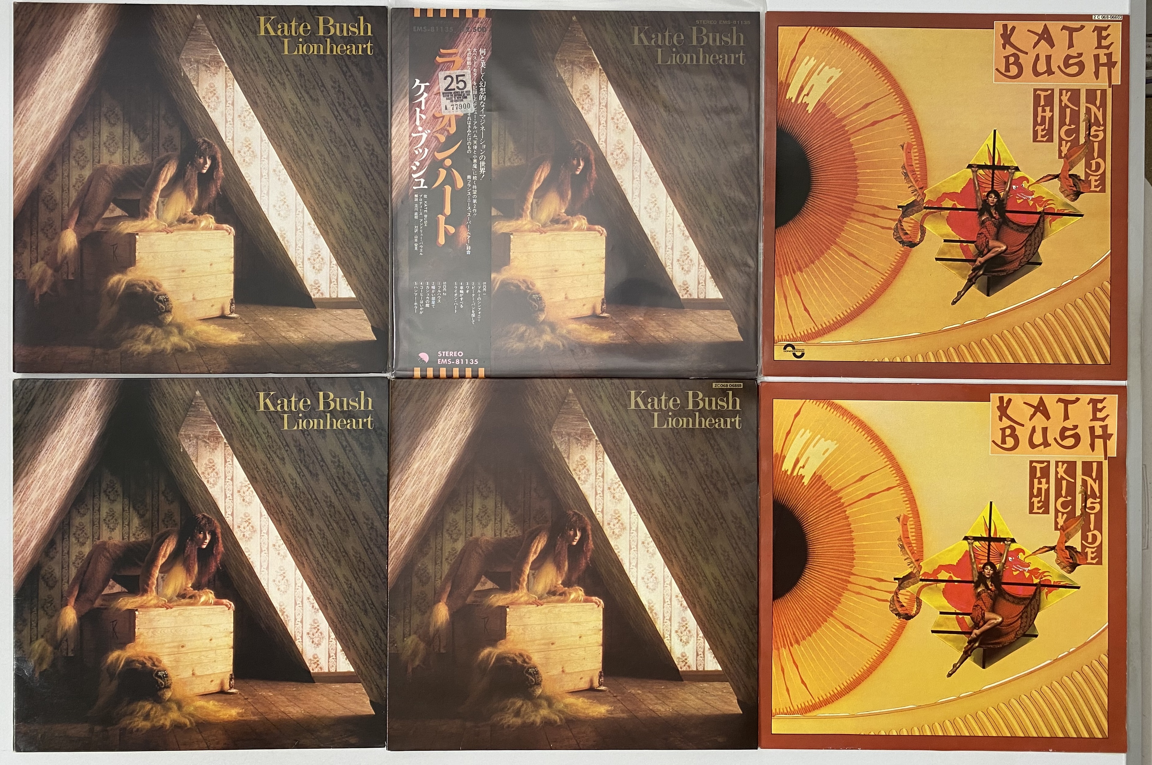 Bush Lp Lot 1062 - KATE BUSH - LP COLLECTION (INC RARITIES/